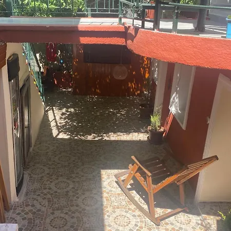 Lavinya Gazde/Camere de închiriat *